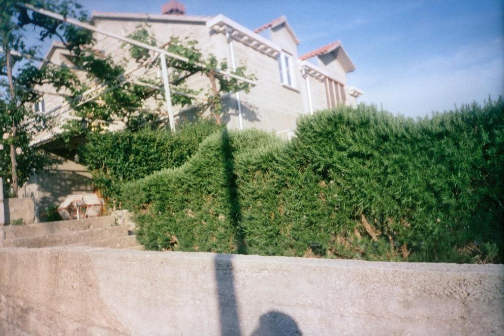 Apartma Family House Lise *