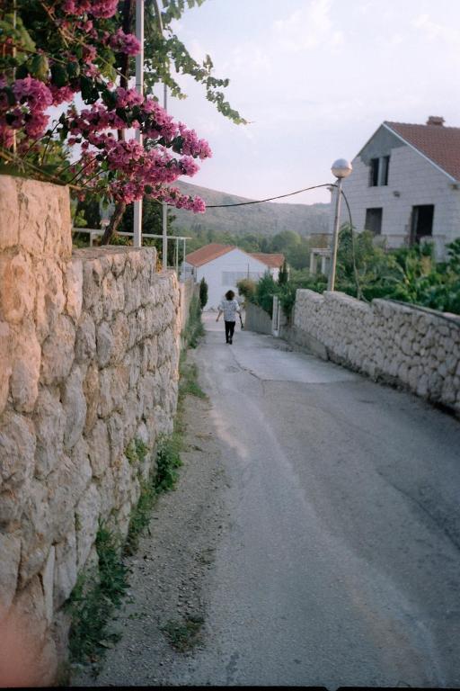 Family House Lise